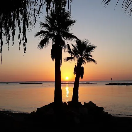 Pylaapts - Near The Lägenhet