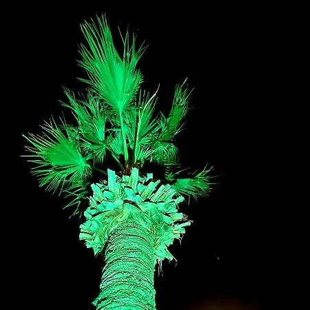 Pylaapts - Near The Lägenhet