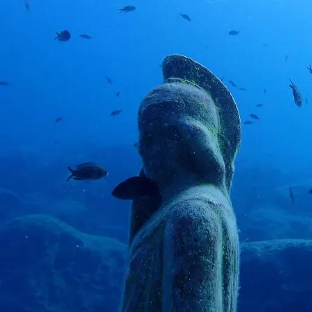 Pylaapts - Near The Lägenhet *