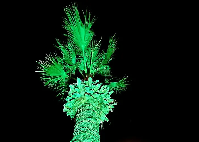 Pylaapts - Near The Apartament